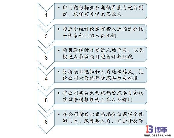 六西格瑪黑帶、綠帶人員的選擇